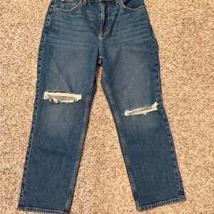 Abercrombie & Fitch Curve Love Ultra High Rise Blue Jeans SHORT